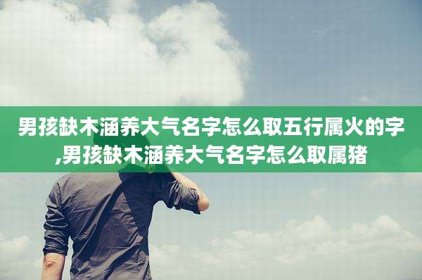 男孩缺木涵养大气名字怎么取五行属火的字,男孩缺木涵养大气名字怎么取属猪