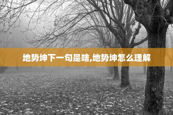 地势坤下一句是啥,地势坤怎么理解