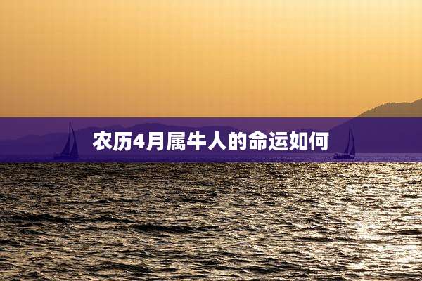 农历4月属牛人的命运如何