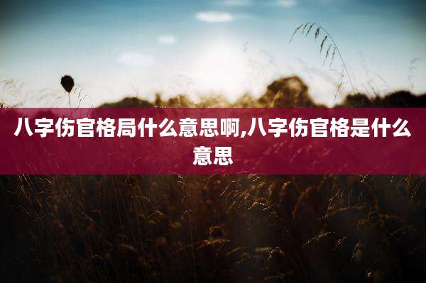 八字伤官格局什么意思啊,八字伤官格是什么意思