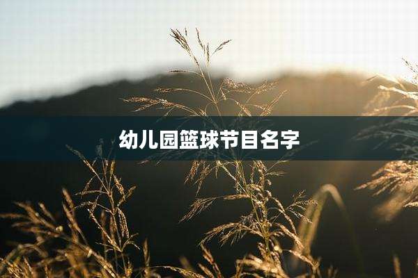 幼儿园篮球节目名字