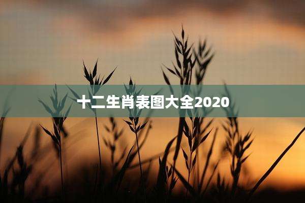 十二生肖表图大全2020