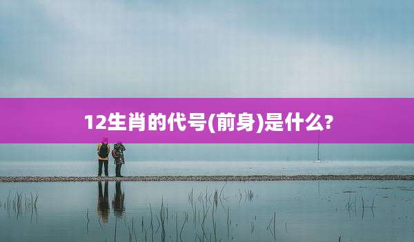 12生肖的代号(前身)是什么?