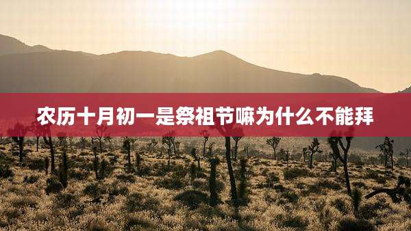 农历十月初一是祭祖节嘛为什么不能拜