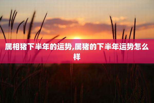 属相猪下半年的运势,属猪的下半年运势怎么样