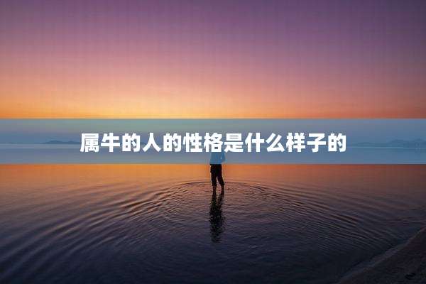 属牛的人的性格是什么样子的