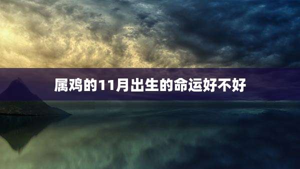 属鸡的11月出生的命运好不好