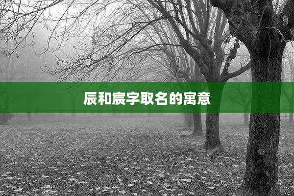 辰和宸字取名的寓意