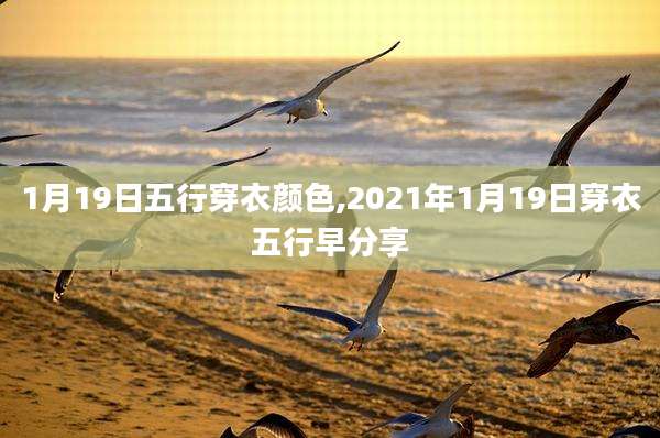 1月19日五行穿衣颜色,2021年1月19日穿衣五行早分享