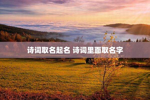 诗词取名起名 诗词里面取名字