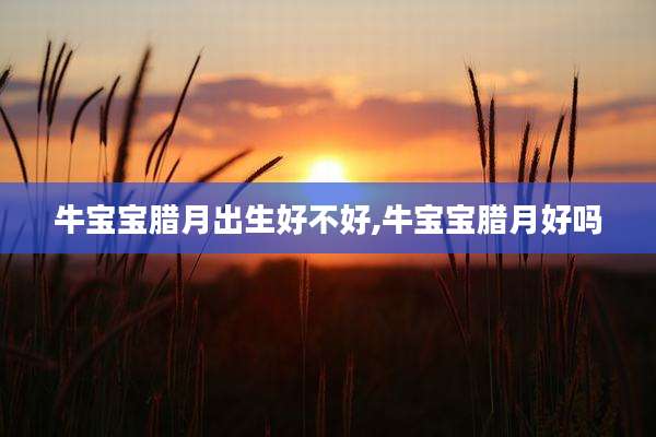 牛宝宝腊月出生好不好,牛宝宝腊月好吗