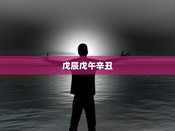 戊辰戊午辛丑