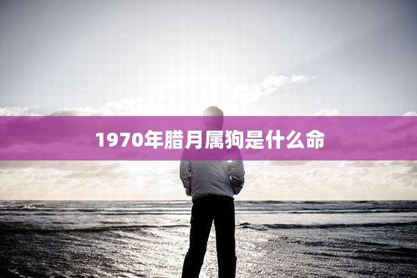1970年腊月属狗是什么命