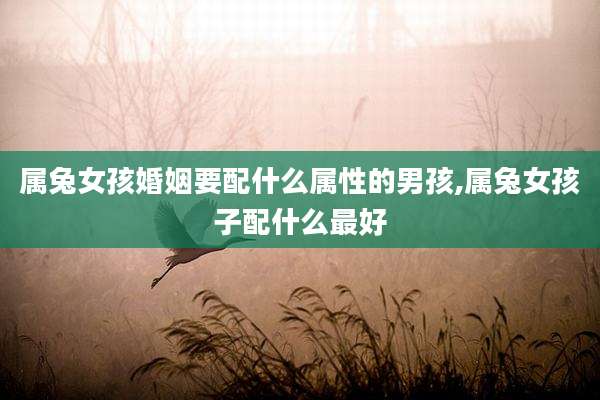 属兔女孩婚姻要配什么属性的男孩,属兔女孩子配什么最好