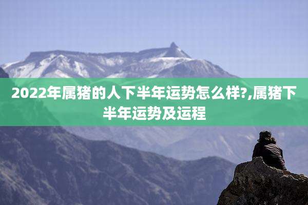 2022年属猪的人下半年运势怎么样?,属猪下半年运势及运程