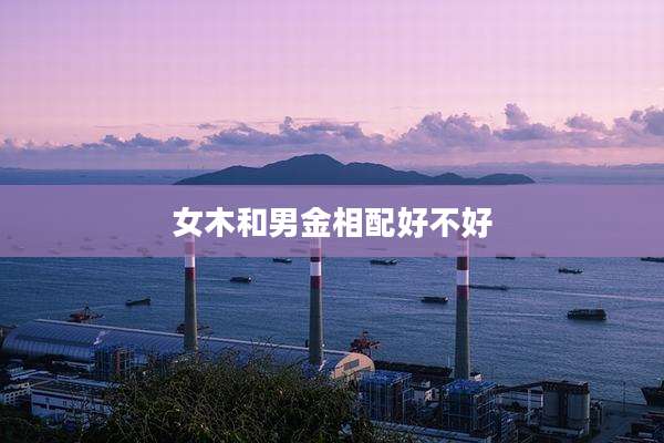 女木和男金相配好不好