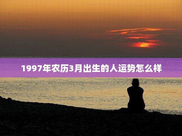 1997年农历3月出生的人运势怎么样