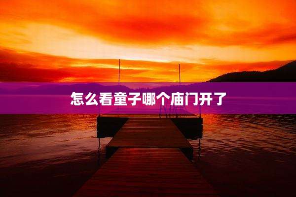 怎么看童子哪个庙门开了