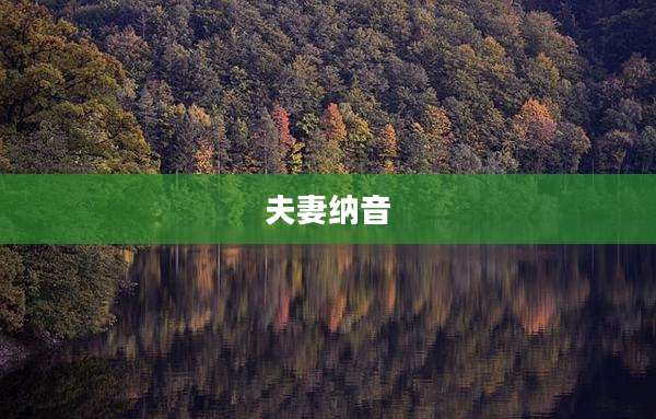 夫妻纳音