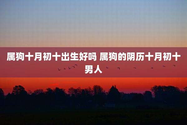 属狗十月初十出生好吗 属狗的阴历十月初十男人