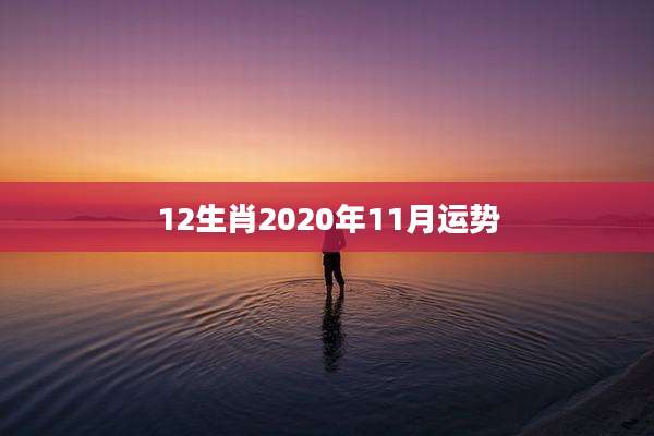 12生肖2020年11月运势