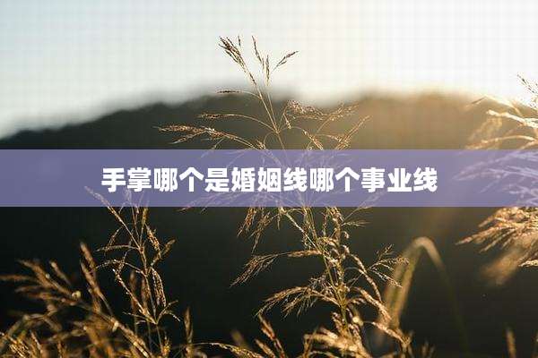 手掌哪个是婚姻线哪个事业线