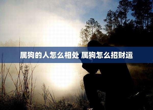 属狗的人怎么相处 属狗怎么招财运