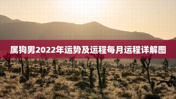 属狗男2022年运势及运程每月运程详解图