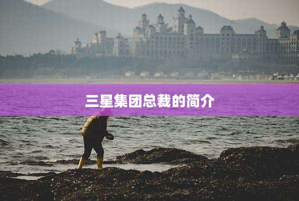 三星集团总裁的简介