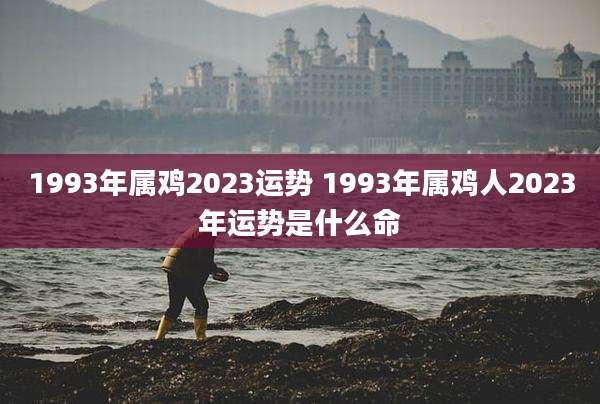 1993年属鸡2023运势 1993年属鸡人2023年运势是什么命