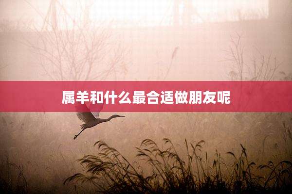 属羊和什么最合适做朋友呢