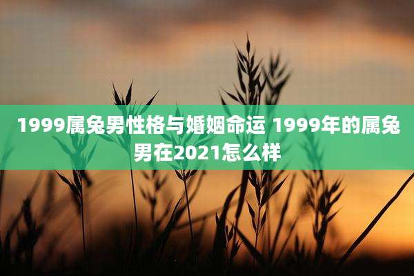 1999属兔男性格与婚姻命运 1999年的属兔男在2021怎么样
