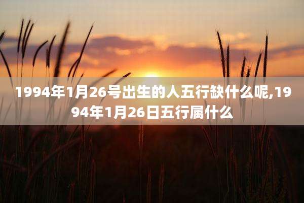 1994年1月26号出生的人五行缺什么呢,1994年1月26日五行属什么