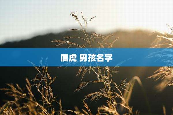 属虎 男孩名字
