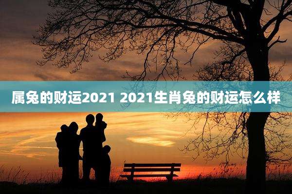 属兔的财运2021 2021生肖兔的财运怎么样