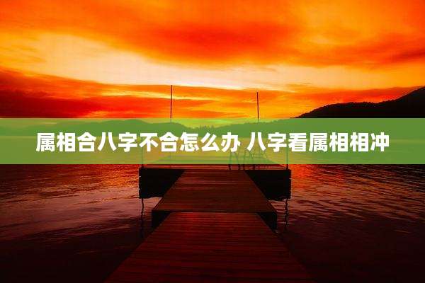 属相合八字不合怎么办 八字看属相相冲