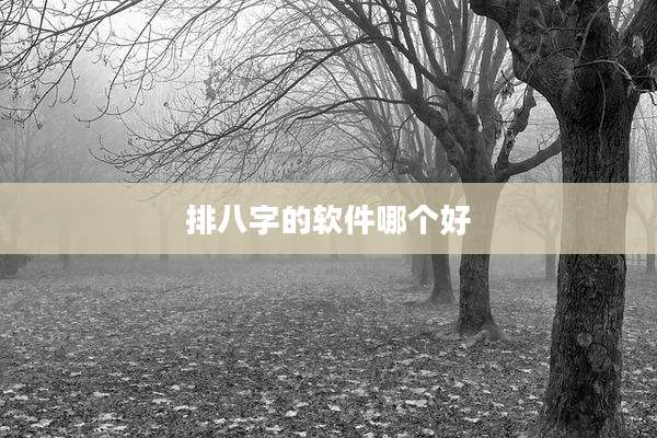 排八字的软件哪个好