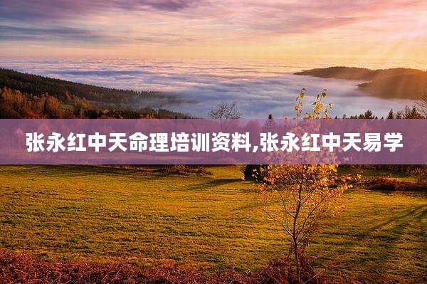 张永红中天命理培训资料,张永红中天易学