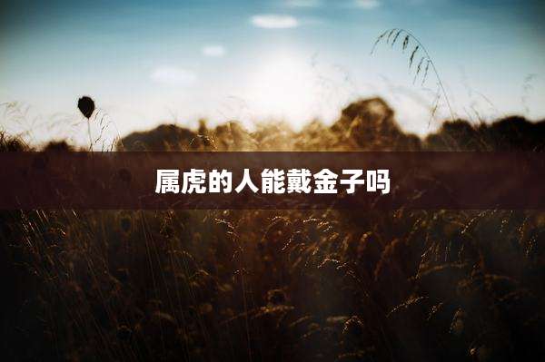 属虎的人能戴金子吗
