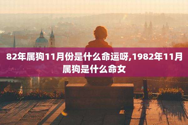 82年属狗11月份是什么命运呀,1982年11月属狗是什么命女
