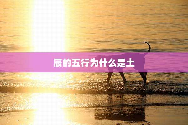辰的五行为什么是土