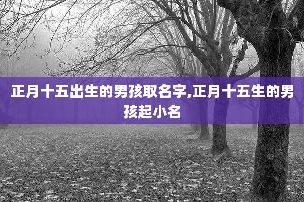 正月十五出生的男孩取名字,正月十五生的男孩起小名