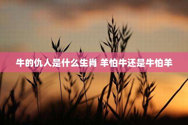 牛的仇人是什么生肖 羊怕牛还是牛怕羊