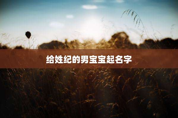 给姓纪的男宝宝起名字