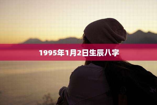1995年1月2日生辰八字