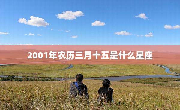 2001年农历三月十五是什么星座