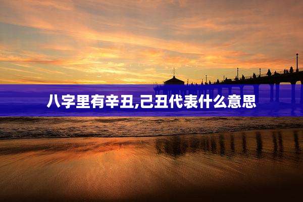 八字里有辛丑,己丑代表什么意思