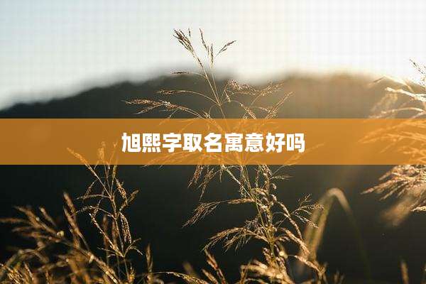 旭熙字取名寓意好吗