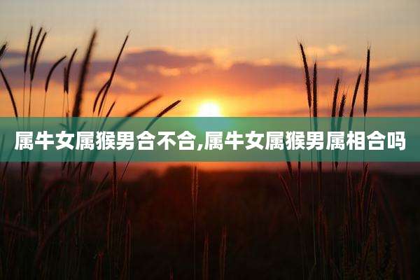 属牛女属猴男合不合,属牛女属猴男属相合吗