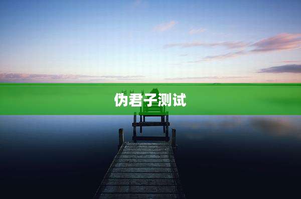 伪君子测试